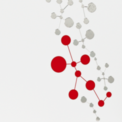 Zinzino Balance Test Análisis de ácidos grasos en sangre seca