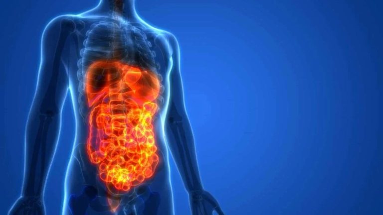 termogenesis omega 3