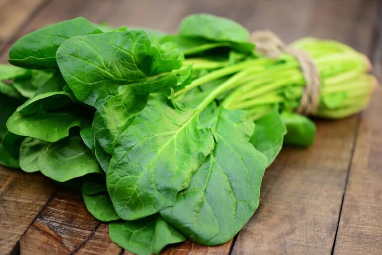 espinacas verdes
