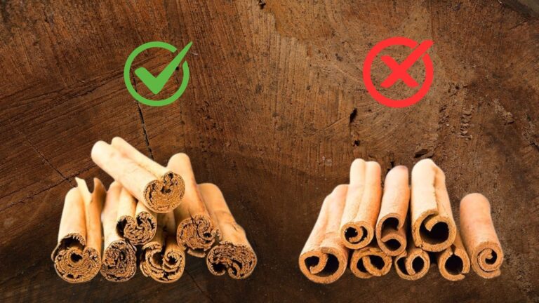 que canela es mejor?