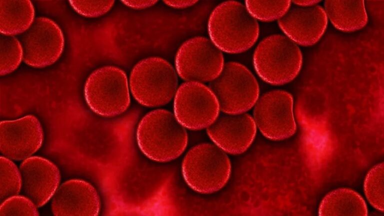 Por qué es esencial realizar un análisis de sangre para detectar la deficiencia de omega-3.