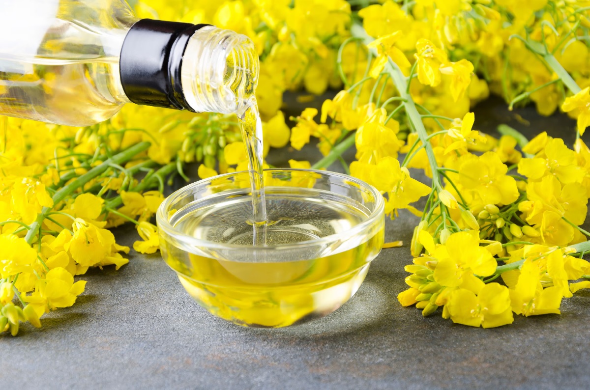 Aceite de canola: ¿es realmente malo o es uno de los aceites más equilibrados?