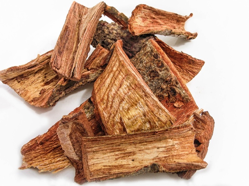cuachalalate de herbolaria