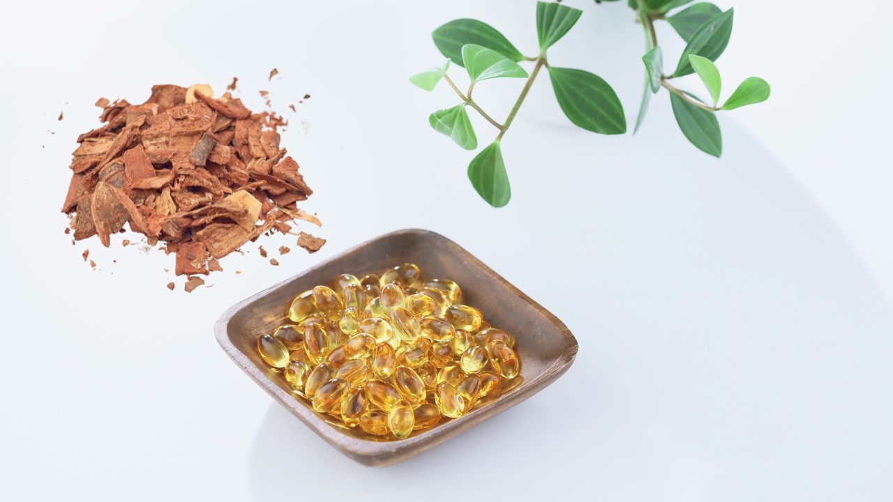 ¿Estrés, gastritis y ecología? Cómo el Omega-3 de alta calidad puede aliviar tu estómago y salvar al Cuachalalate